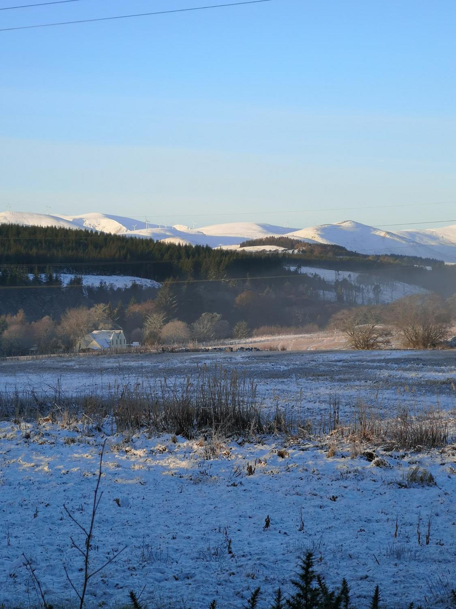 Beechwood Lodge Guesthouse Alness Eksteriør billede