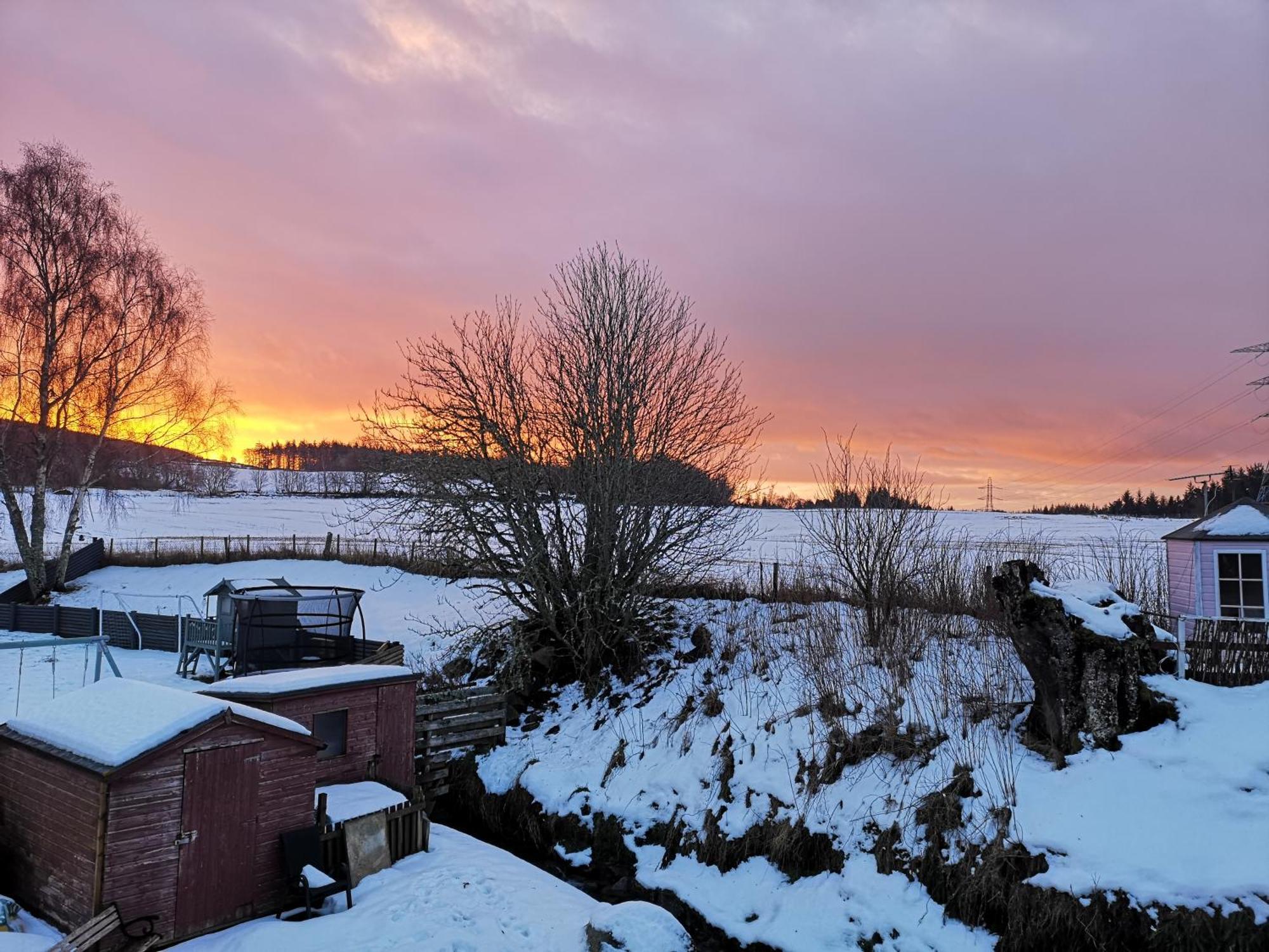 Beechwood Lodge Guesthouse Alness Eksteriør billede