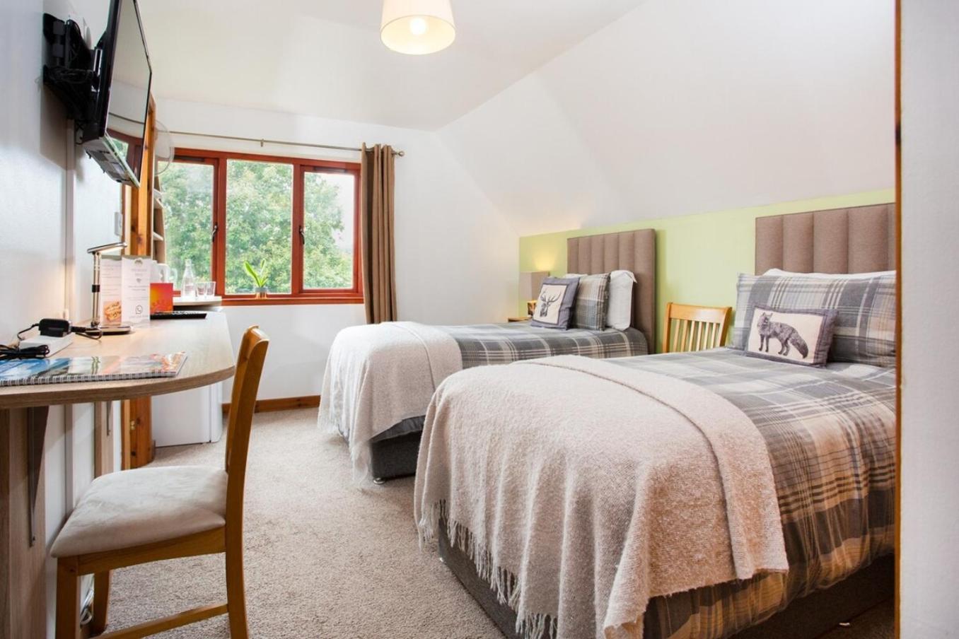 Beechwood Lodge Guesthouse Alness Eksteriør billede