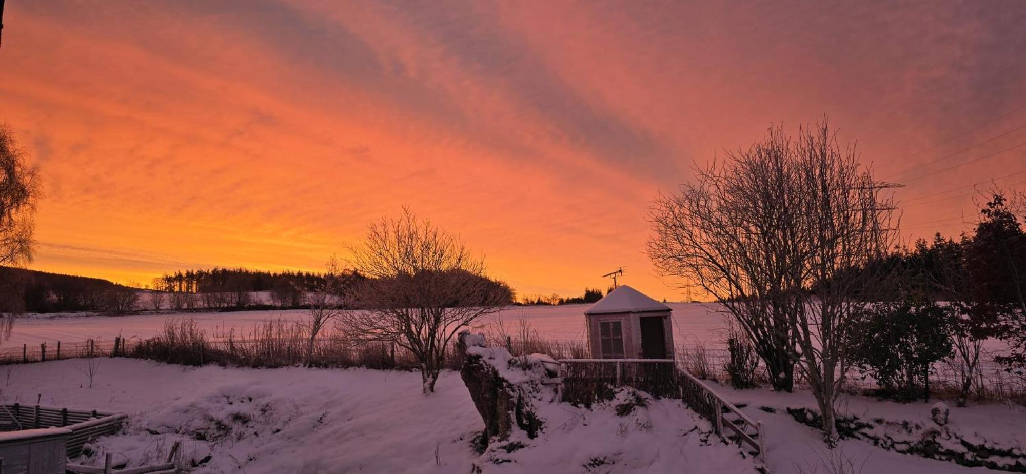 Beechwood Lodge Guesthouse Alness Eksteriør billede