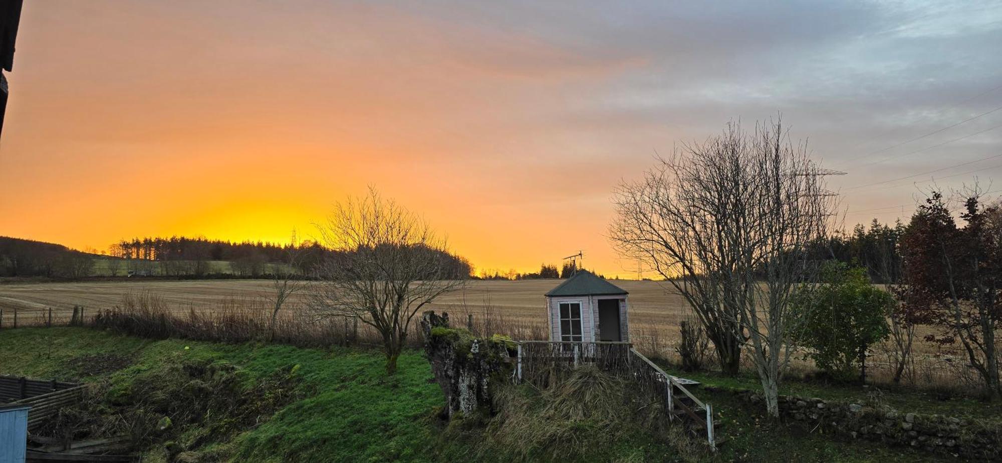 Beechwood Lodge Guesthouse Alness Eksteriør billede